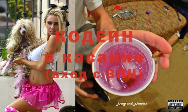 индика Балабаново