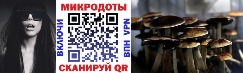 Галлюциногенные грибы Cubensis  Купить  Кимовск 
